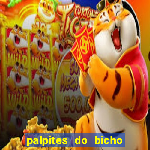 palpites do bicho no celular