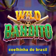 coelhinha do brasil