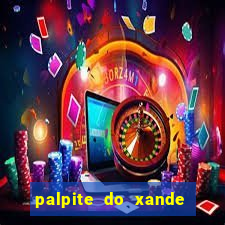 palpite do xande de hoje