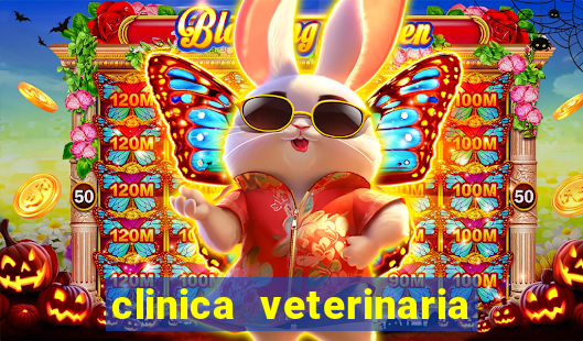 clinica veterinaria cuidar betim