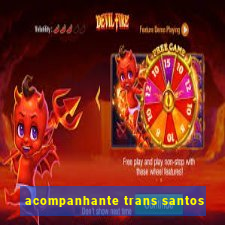 acompanhante trans santos