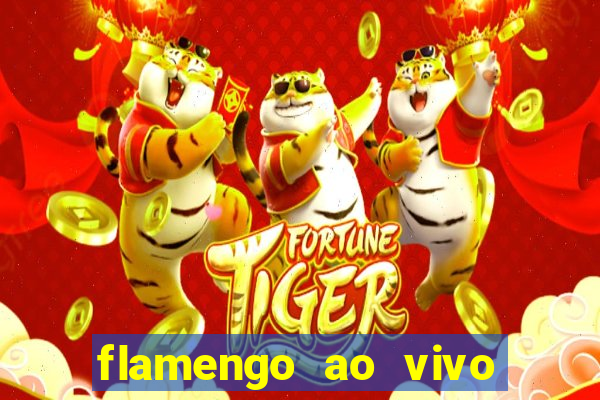 flamengo ao vivo hd play