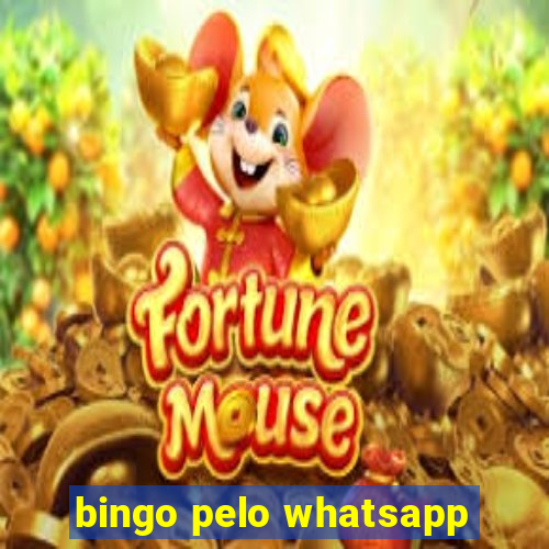 bingo pelo whatsapp