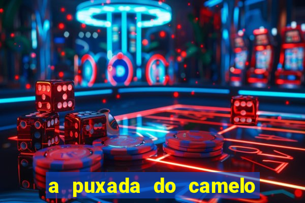 a puxada do camelo no jogo do bicho