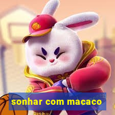 sonhar com macaco