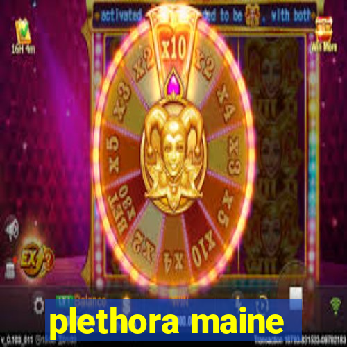 plethora maine