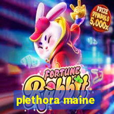 plethora maine