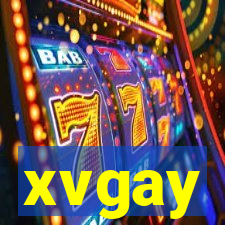 xvgay