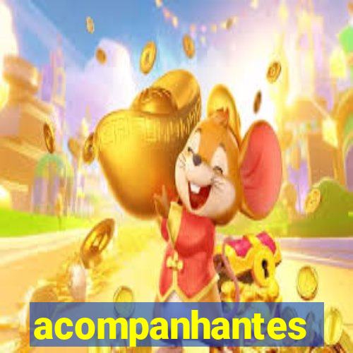 acompanhantes chamada de video