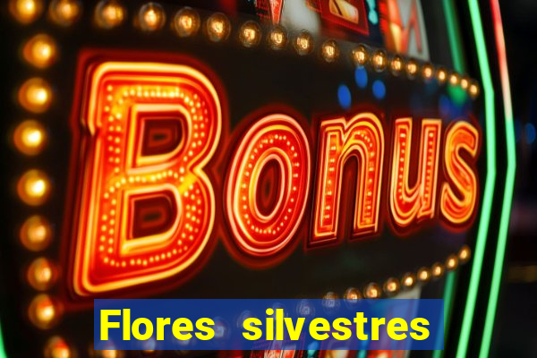 Flores silvestres brasileiras 25