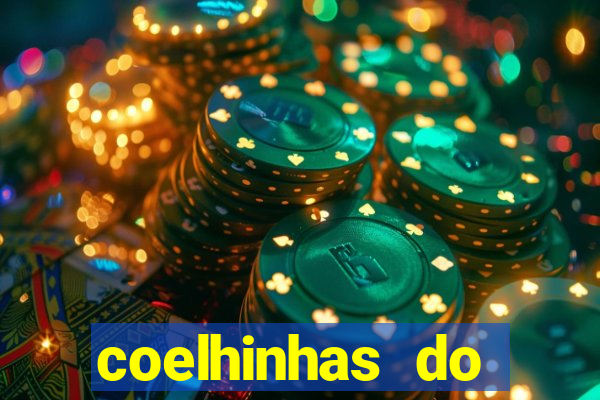 coelhinhas do brasil site