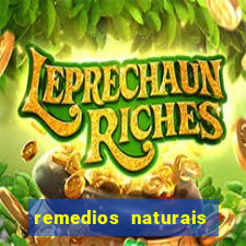 remedios naturais para diabetes