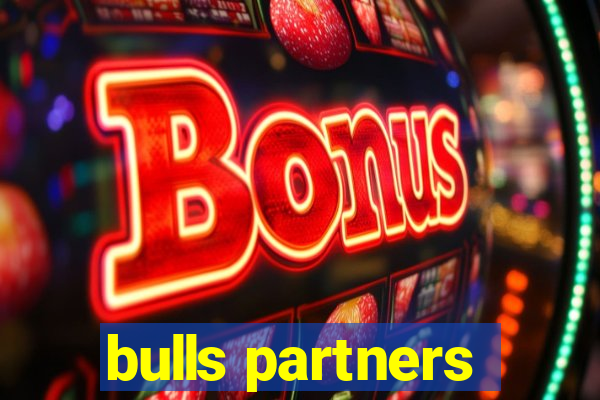 bulls partners