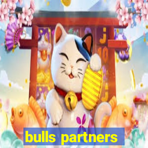 bulls partners