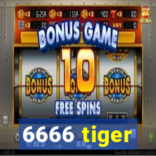 6666 tiger