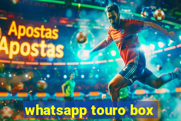 whatsapp touro box