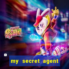 my secret agent husband legendado