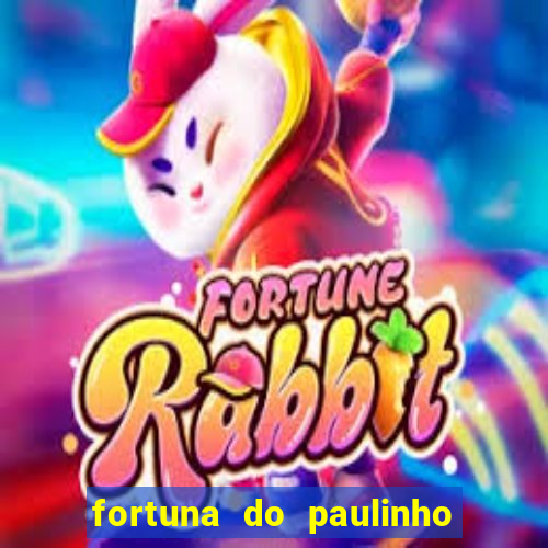 fortuna do paulinho do roupa nova