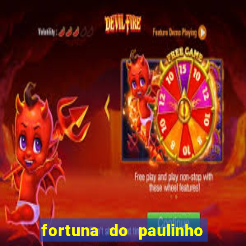 fortuna do paulinho do roupa nova