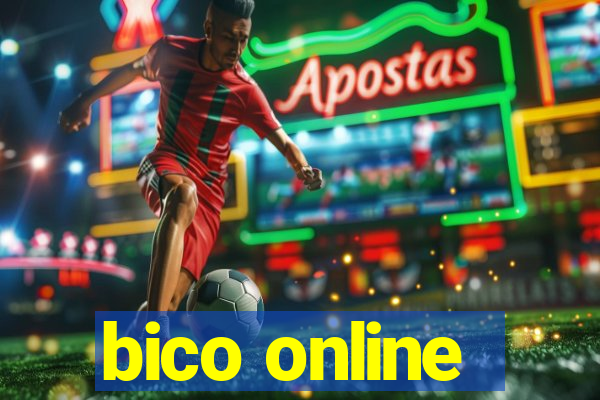 bico online