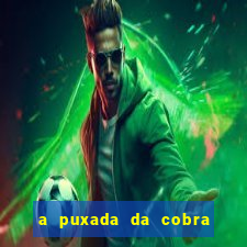 a puxada da cobra no jogo do bicho