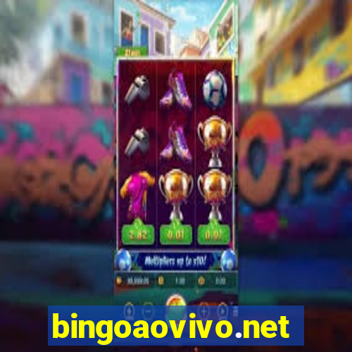 bingoaovivo.net