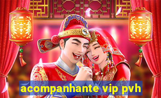 acompanhante vip pvh