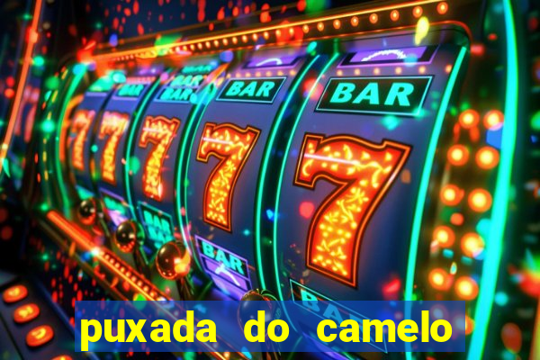 puxada do camelo jogo do bicho