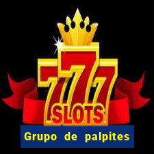 Grupo de palpites de futebol gratis