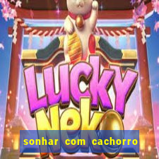 sonhar com cachorro numeros da mega sena