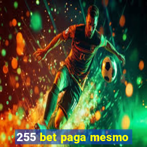 255 bet paga mesmo