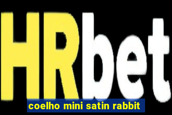 coelho mini satin rabbit