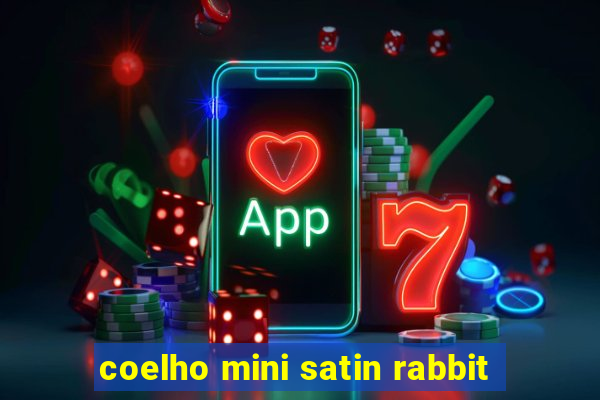 coelho mini satin rabbit