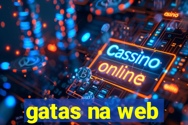 gatas na web