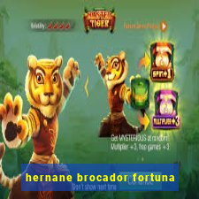 hernane brocador fortuna