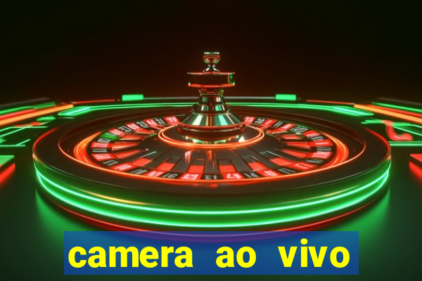 camera ao vivo beto carrero