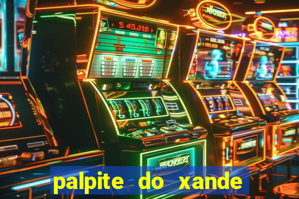 palpite do xande de hoje