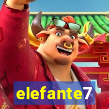 elefante7