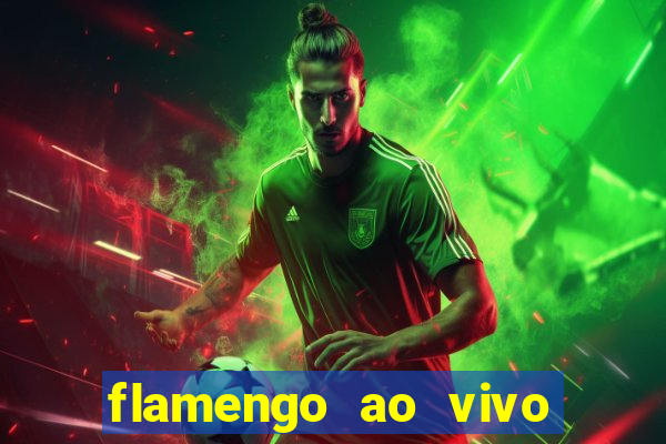 flamengo ao vivo hd play