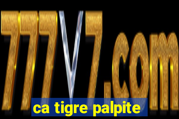 ca tigre palpite