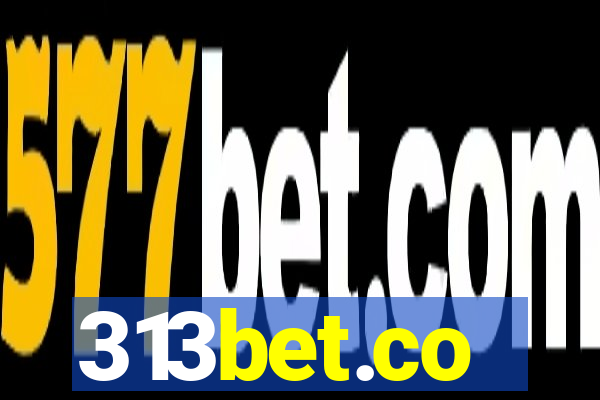 313bet.co