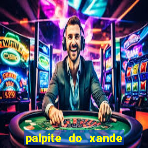 palpite do xande para hoje