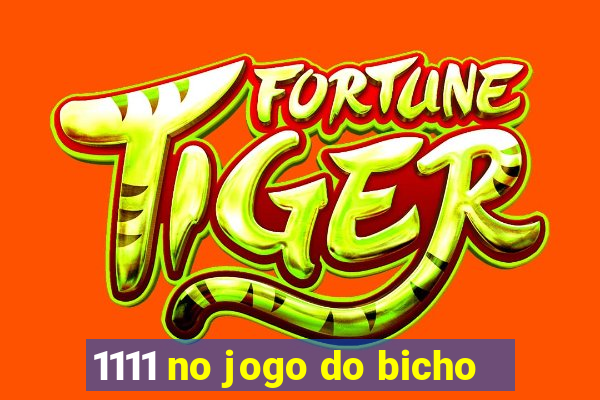 1111 no jogo do bicho