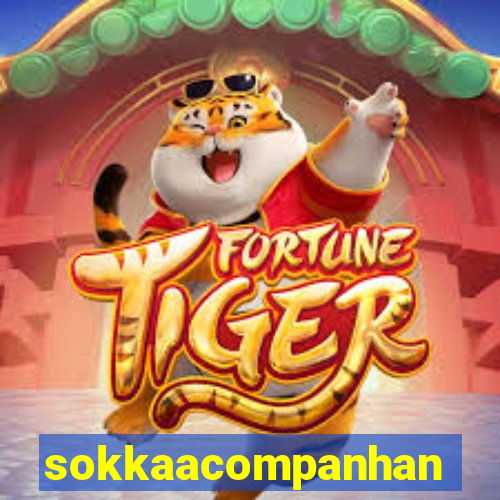 sokkaacompanhantes