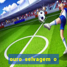 ouro selvagem o que aconteceu na vida