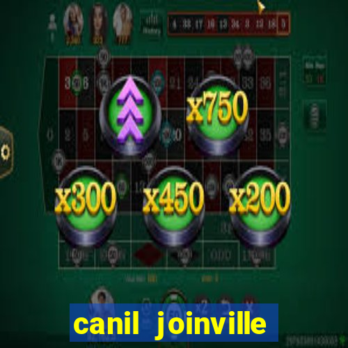 canil joinville vila nova