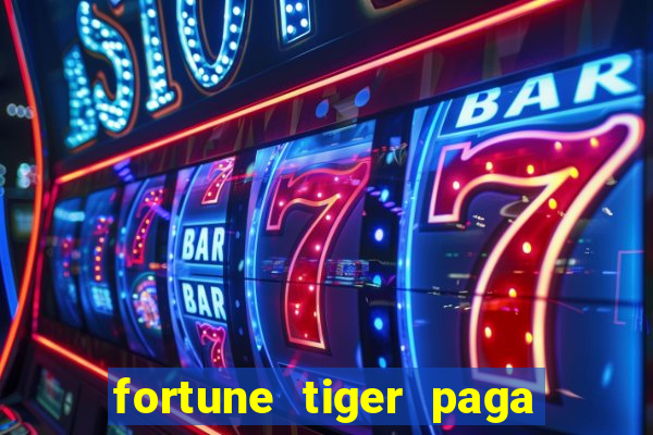 fortune tiger paga de madrugada