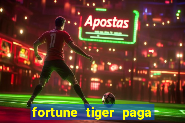 fortune tiger paga de madrugada