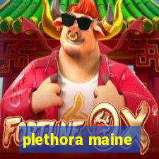 plethora maine