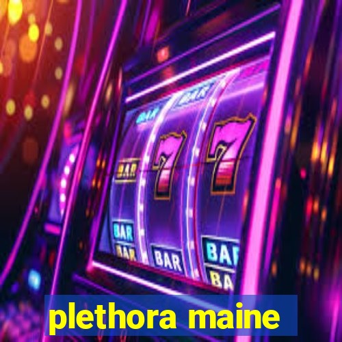 plethora maine